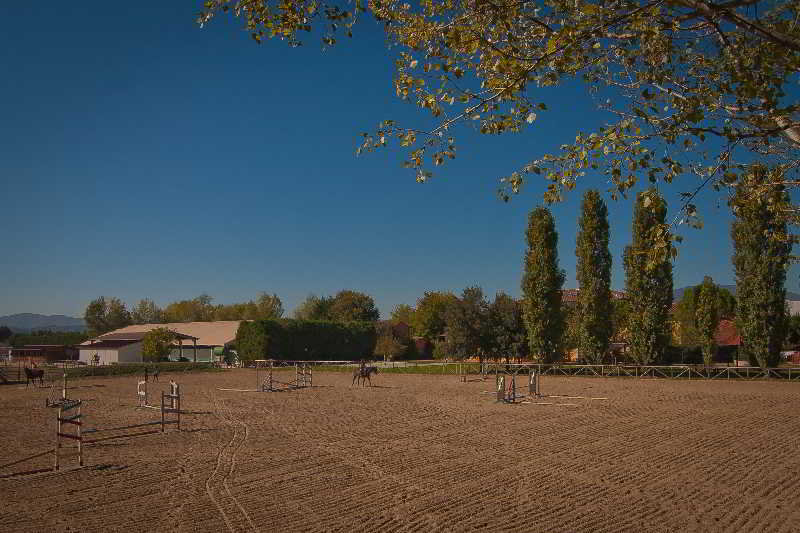 Sports and Entertainment
 di Podere Violino