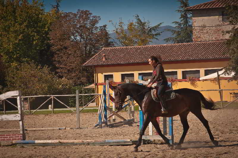 Podere Violino, Arezzo