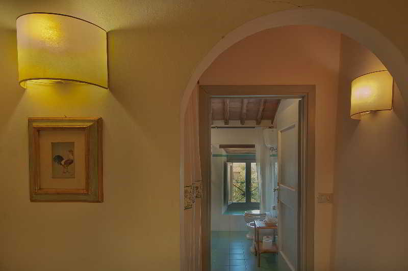 Podere Violino, Arezzo