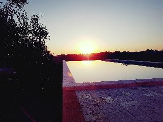 Momentum Wellness Bio Resort