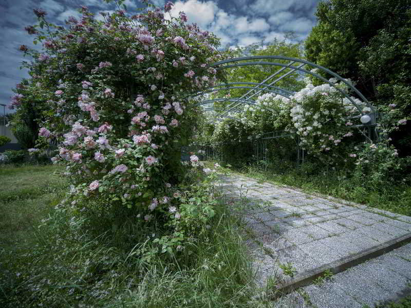 General view
 di Rinaldi Hotel