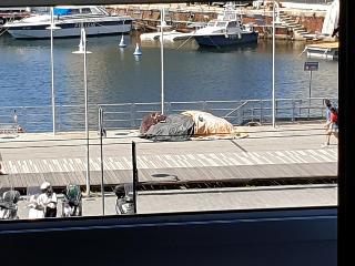 Armonia, Genoa