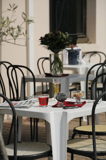 Terrace
 di Inter-Hotel Parc Euromedecine