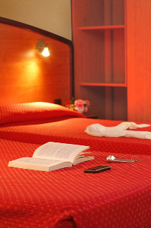 Room
 di Inter-Hotel Parc Euromedecine