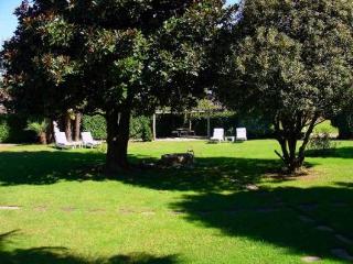 General view
 di Albergo Gardenia