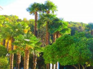 General view
 di Albergo Gardenia