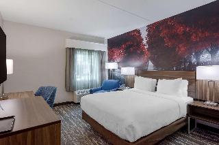 1 queen bed, nonsmoking, accessible