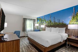 1 king bed, nonsmoking