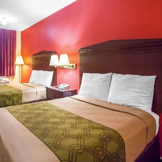 Room Room