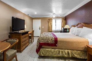 Room Room