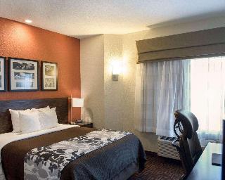 1 Queen Bed, Nonsmoking, Accessible