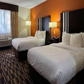 Room Room