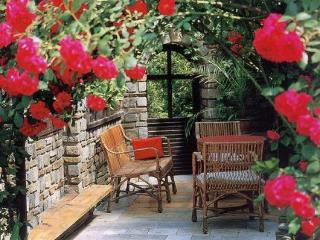 General view
 di Pension Ingrid