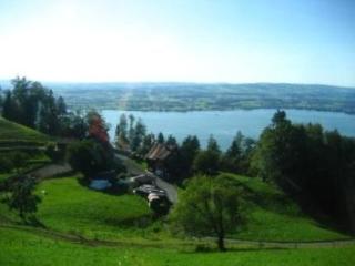 General view
 di Hotel Station Zug