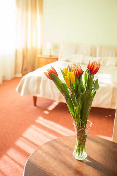 General view
 di Airinn Vilnius