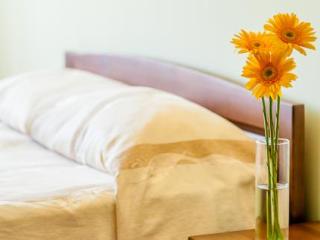 General view
 di Airinn Vilnius