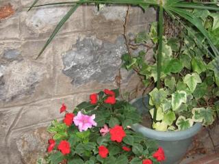 General view
 di Apartments Kosta