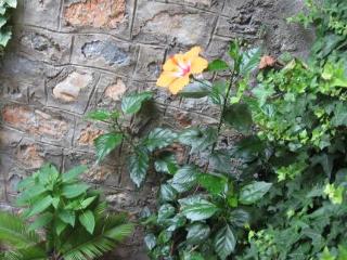 General view
 di Apartments Kosta