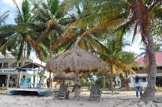 General view
 di Palm Island Resort