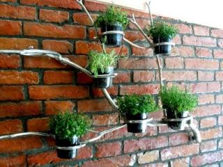 General view
 di Do Step Inn