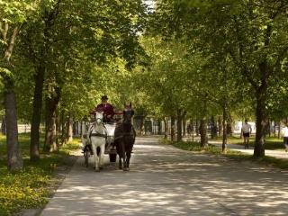 General view
 di Pension Neuer Markt