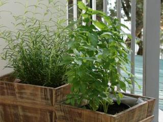 General view
 di Bonbon Luxury Studio