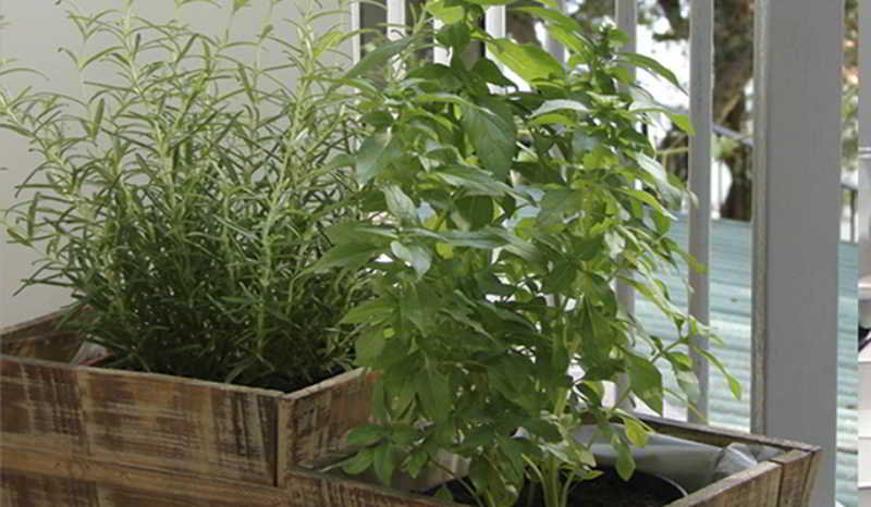 Terrace
 di Bonbon Luxury Studio