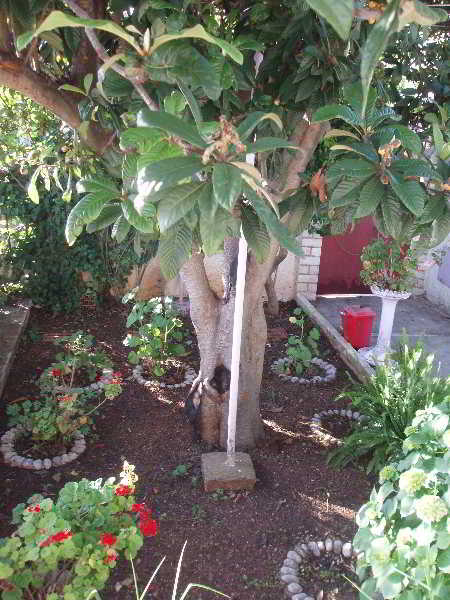 Terrace
 di Apartmani Gordana