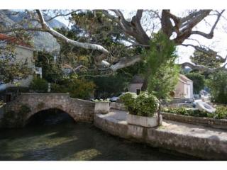 General view
 di Villa Adriatic