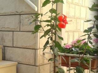 General view
 di Tatjana House