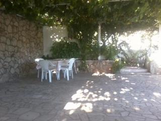 Terrace
 di Apartments Zore Glavinic