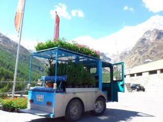 General view
 di Artemis