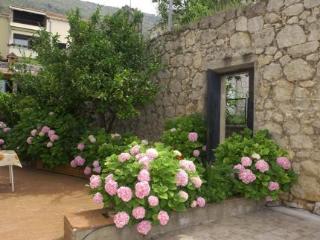 General view
 di Villa Katarina