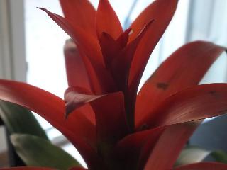 Romantic Holiday Rome B&B, Rome