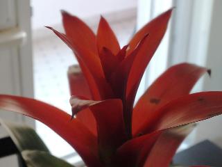 Romantic Holiday Rome B&B, Rome