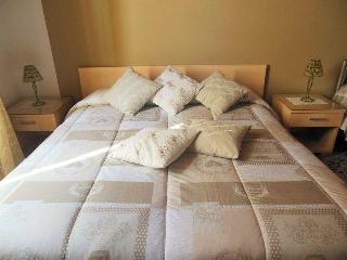 B&B Actinia