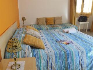 B&B Actinia