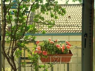 General view
 di B&B Liberty