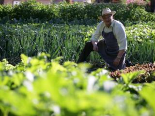 General view
 di Aiguille Du Midi