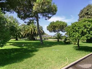 General view
 di Hotel Club Marina Viva