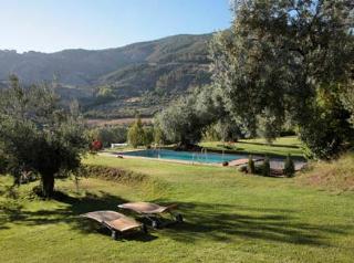 General view
 di La Almunia Del Valle