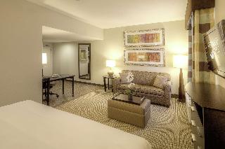 1 King Bed Studio Suite Nonsmoking