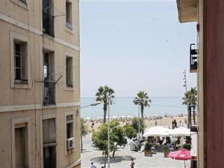 General view
 di Barceloneta Marina