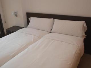 General view
 di Bonavista  Barcelona   Virreina