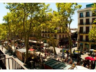 General view
 di Hostal Boqueria