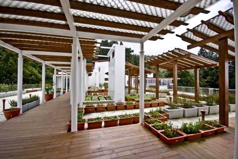 Sports and Entertainment
 di Alishan House - The Modern House