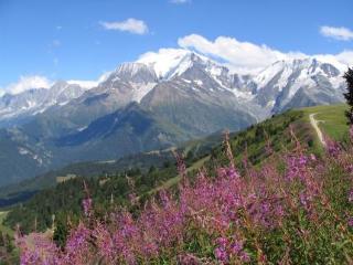 General view
 di Hotel Liberty Mont Blanc