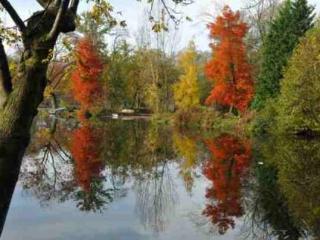 General view thumbnail 9