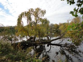 General view thumbnail 30