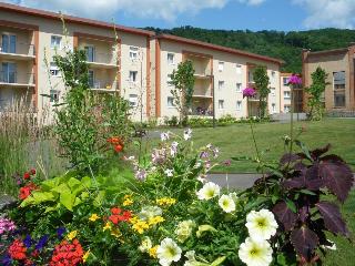 Les Portes Dalsace, Colmar